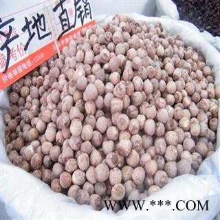 莲子 红圆莲 产地 湖南省 德誉堂药业批发零售各种中药材图3