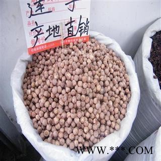莲子 红圆莲 产地 湖南省 德誉堂药业批发零售各种中药材图2