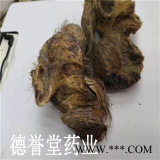 德誉堂药业 大腹皮 选大腹皮  产地 海南图2