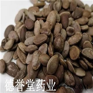 瓜蒌仁 瓜蒌籽 大瓜蒌子 产地 河北省 德誉堂批发各种中药材图4