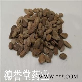 瓜蒌仁 瓜蒌籽 大瓜蒌子 产地 河北省 德誉堂批发各种中药材图2