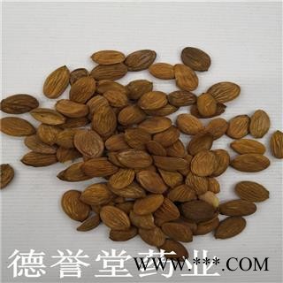桃仁 选 家桃仁  产地 山东省 德誉堂药业批发中药材图3