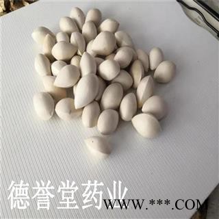 德誉堂药业白果 选 白果 产地 江苏图3