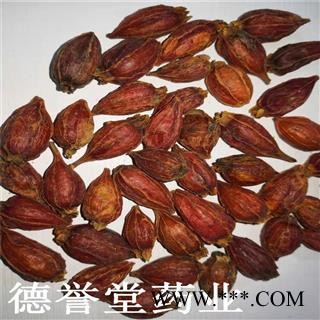 栀子 选 福建栀子 大栀子 德誉堂批发各种中药材图2