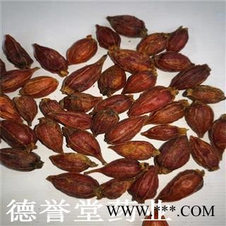 栀子 选 福建栀子 大栀子 德誉堂批发各种中药材图4