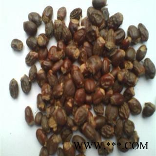 荔枝核 统货 荔枝核 德誉堂药业批发各种中药材图4