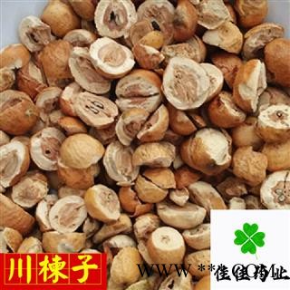 川楝子 选装 生川楝子 另有炒川楝子 发货前过筛 产地 四川省图4