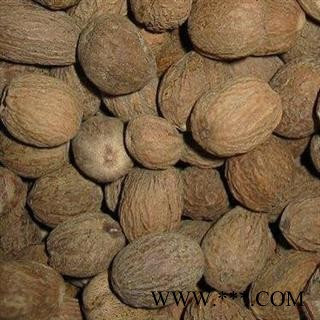 玉果 肉豆蔻统货 产地 广西壮族自治区图2