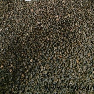 冬葵果 冬葵果净货 产地 辽宁省图2