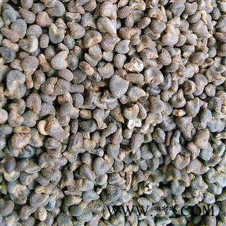 冬葵果 冬葵果净货 产地 辽宁省图3