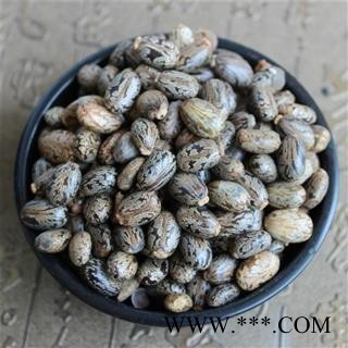 蓖麻子 正品保证质量7天无理由退货退款 安品堂图2