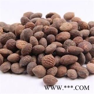 蕤仁 正品保证质量7天无理由退货退款 安片堂图2