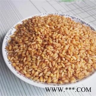 柏子仁 净500克正品保证质量7天无理由退货退款 安品堂图3