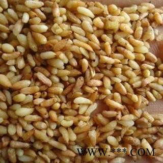 柏子仁 净500克正品保证质量7天无理由退货退款 安品堂图4