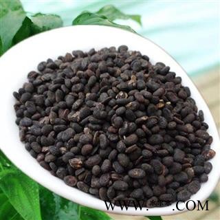 补骨脂正品保证干净无杂质 中药材批发 丽丽药业图2