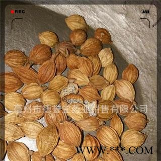 批发 香砂 开口香砂 德誉堂药业批发零售各种中药材图2