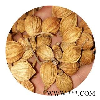 批发 香砂 开口香砂 德誉堂药业批发零售各种中药材图4