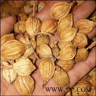 批发 香砂 开口香砂 德誉堂药业批发零售各种中药材图3