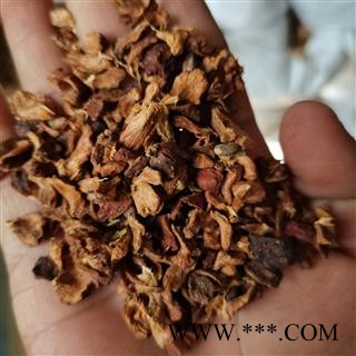 柏树果 正品保证质量7天无理由退货退款 安品堂图3