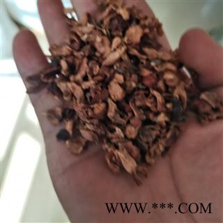 柏树果 正品保证质量7天无理由退货退款 安品堂图4