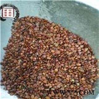 酸枣仁 选 枣仁 云南酸枣仁 批发各种中药材图3