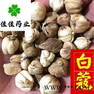 白豆蔻 白寇 白蔻 选装 无硫货 产地直销 发货前过筛子 批发各类中药材 冷背货 花果茶 香料 矿石等 产地 广西壮族自治区图3