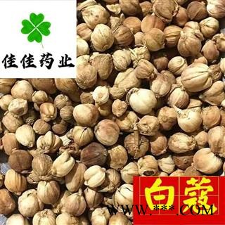白豆蔻 白寇 白蔻 选装 无硫货 产地直销 发货前过筛子 批发各类中药材 冷背货 花果茶 香料 矿石等 产地 广西壮族自治区图2