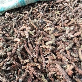 夏枯球 夏枯球统货 产地 河南省 国药堂 专注品质图2