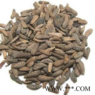 大力子 牛子 选 牛蒡子  产地  甘肃 德誉堂药业批发各种中药材图4