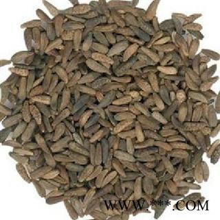 大力子 牛子 选 牛蒡子  产地  甘肃 德誉堂药业批发各种中药材图3