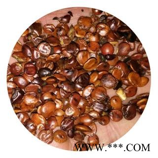 枣仁 供应中药材酸枣仁 云南酸枣仁 批发零售各种中药材图4