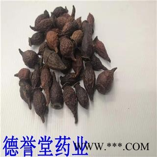 金樱子 选 金樱子  批发各种规格中药材 产地 广西图2