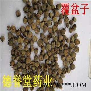 覆盆子 毛选 大覆盆子 产地 浙江省 德誉堂药业批发各种中药材图3