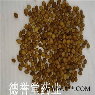 郁李仁 统 郁李仁 产地 内蒙古自治区 批发各种中药材图2