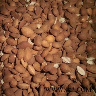 山桃仁 统 桃仁 产地 内蒙古自治区 库存 100公斤可售图3