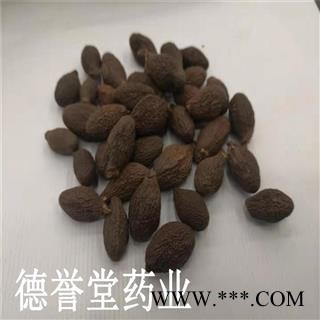 德誉堂药业 胖大海 选长果 胖大海 产地 批发各种中药材图3