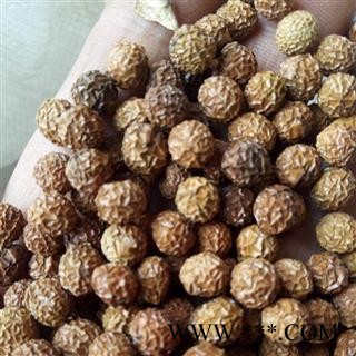 梧桐子 野生梧桐子精选梧桐籽 梧桐子 瓢儿果、桐麻豌 产地 河南省平顶山市汝州市图4