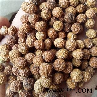 梧桐子 野生梧桐子精选梧桐籽 梧桐子 瓢儿果、桐麻豌 产地 河南省平顶山市汝州市图3