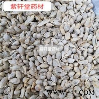 橘核 正品橘核 桔核产地 四川省 干净无杂质图2