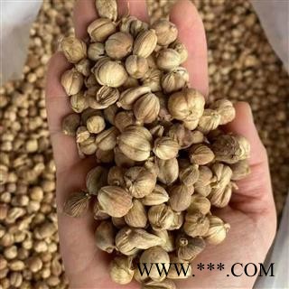 白豆蔻 豆蔻 选货 2021 产地 广西壮族自治区玉林市玉州区图3