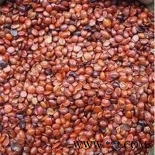 酸枣仁1000克促销批发价 好统 产地 海外 大货批发价图3