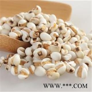 薏苡仁 国产薏苡仁98米1000克促销批发 产地 贵州省图3