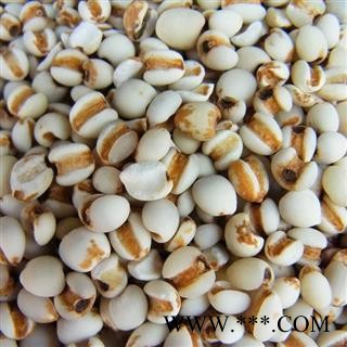 薏苡仁 国产薏苡仁98米1000克促销批发 产地 贵州省图2