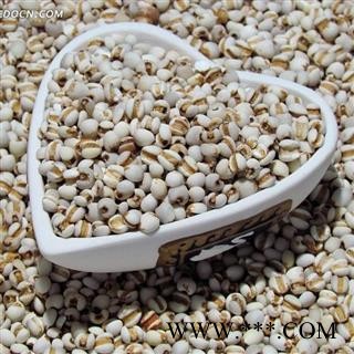 薏苡仁 国产薏苡仁98米1000克促销批发 产地 贵州省图4