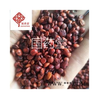 酸枣仁 炒枣仁 统 产地 海外 国药堂 专注品质