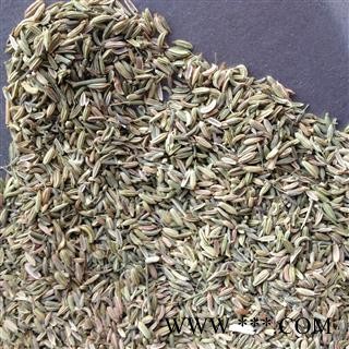 小茴香 统 产地 广西壮族自治区图2