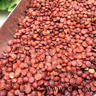 酸枣仁 酸枣仁98货 产地 山西省图2