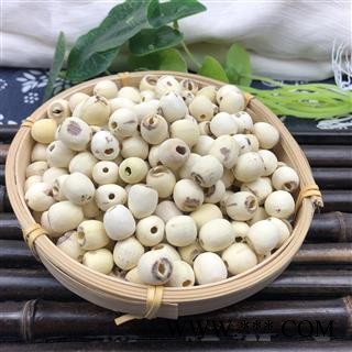 白莲子 江西空心剥皮白莲子选货 产地 江西省图2