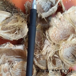 大腹皮 软质大腹皮 大腹毛 槟榔皮 选货 实货与图片相符 产地 广西壮族自治区图2