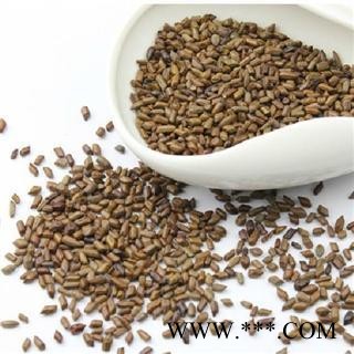 决明子 大粒 决明子 选 产地河南 德誉堂药业批发各种中药材图2